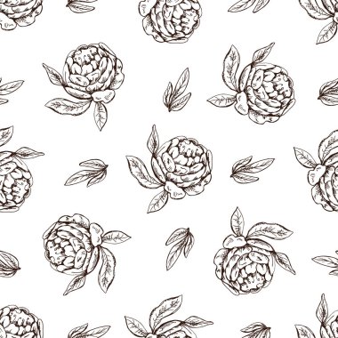 Kusursuz bir el şakayığı deseni, Rose. Tek renkli çiçek karalaması. Siyah beyaz bağbozumu. Vektör çizimi. Ayrıntılı retro biçimi.