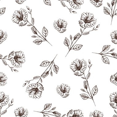 Kusursuz el yapımı amberçiçeği deseni. Tek renkli çiçek karalaması. Siyah beyaz bağbozumu. Vektör çizimi. Ayrıntılı retro biçimi.