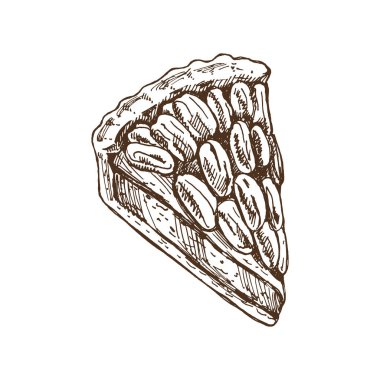 Kremalı cevizli turtanın el çizimi. Pişirmenin vektör illüstrasyonu. Ev yapımı fırın çizimi. Yemek tarifleri ve restoran için tatlı. Şükran Günü için yemek, Noel