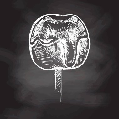 Elle çizilmiş karamelli elma eskizi. Tahta arka planda vektör gıda çizimi. Geleneksel Noel, Cadılar Bayramı tatlısı. Paketleme, etiketleme, tarif, menü. Klasik tatil tasarımı.