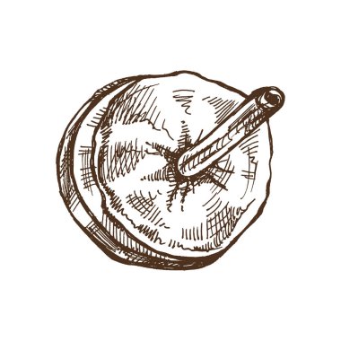 Balla doldurulmuş fırınlanmış elmaların el çizimi. Vektör gıda çizimi. Geleneksel Noel, Cadılar Bayramı tatlısı. Paketleme ve etiketleme için resim. Klasik tatil tasarımı. 