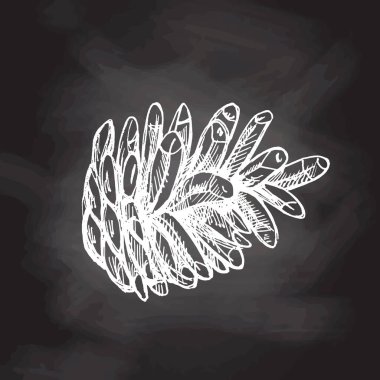 Beyaz üzerine el çizimi kozalak resmi, karatahta arka planda noel süslemeleri. Vector vintage çizimi. Geleneksel Noel sıcacık bayramları. 