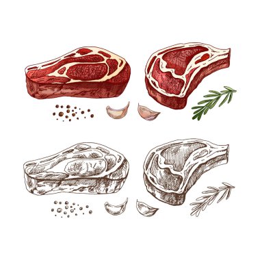 Organik yiyecekler. Biftek, biberiye, sarımsak ve biberiyeli et. Klasik illüstrasyon. Menü için dekorasyon. Kabartmalı resim.