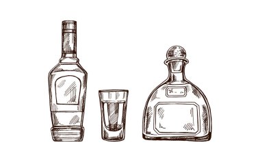 El yapımı tekila şişeleri ve tekila ile shot bardağı. Çubuk menüsü ve gravür biçimi için tasarım ögesi. Meksika, Latin Amerika.