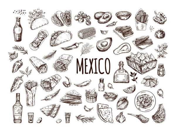 현실적인 멕시코 요리와 제품의 손으로 아메리카 요리의 빈티지 스케치 그림입니다 로열티 프리 스톡 일러스트레이션