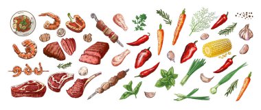 Mangal ve piknik malzemelerinin el çizimi çizimleri. Kafe menüsünün tasarımı için ızgara yemek. Doodle vintage çizimi. İşlemeli.