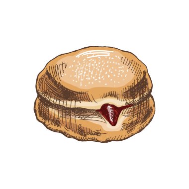 Geleneksel Alman çöreği reçelli, tozlu. Klasik renkli illüstrasyon. Hamur tatlısı, tatlı. Etiket, ambalaj ve kartpostalların tasarımı için elementName.