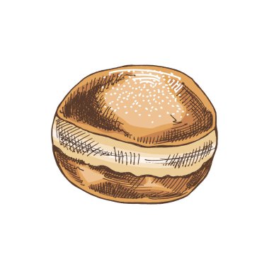 Geleneksel Alman çöreği, tozlu. Klasik renkli illüstrasyon. Hamur tatlısı, tatlı. Etiket, ambalaj ve kartpostalların tasarımı için elementName.