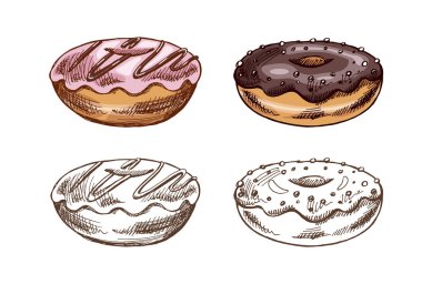 Elle çizilmiş renkli ve tek renkli donut çizimleri. Klasik illüstrasyon. Hamur tatlısı, tatlı. Etiket, ambalaj ve kartpostalların tasarımı için elementName.