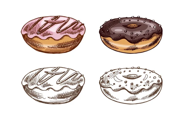 Elle çizilmiş renkli ve tek renkli donut çizimleri. Klasik illüstrasyon. Hamur tatlısı, tatlı. Etiket, ambalaj ve kartpostalların tasarımı için elementName.