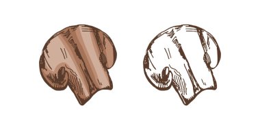 Organik yiyecekler. Izgara Şampiyon 'un elle çizilmiş renkli ve tek renkli vektör çizimi. Doodle vintage çizimi. Kafelerin menüsü için dekorasyonlar. Kabartmalı resim.