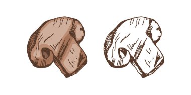 Organik yiyecekler. Izgara Şampiyon 'un elle çizilmiş renkli ve tek renkli vektör çizimi. Doodle vintage çizimi. Kafelerin menüsü için dekorasyonlar. Kabartmalı resim.