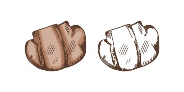 Organik yiyecekler. Izgara Şampiyon 'un elle çizilmiş renkli ve tek renkli vektör çizimi. Doodle vintage çizimi. Kafelerin menüsü için dekorasyonlar. Kabartmalı resim.