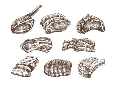 Et parçaları, biftek, jambon, domuz eti gibi elle çizilmiş çizimler. Taze çiğ et ürünleri. Restoranlar için menü tasarlamak, kasap dükkanı. Klasik oymalı illüstrasyon. 