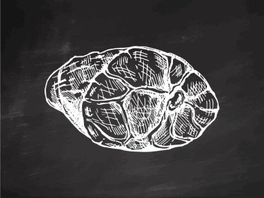 Tahta arka planda dilimlenmiş jambonun elle çizilmiş vektör çizimi. İtalyan prosciutto klasik eskizi. Kasap dükkanı. Marka için harika, restoran menüsü. Kabartmalı resim.