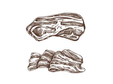 Hand-drawn vector sketch set of bacon, hamon or pork meat, ham slices. Italian prosciutto vintage sketch. Butcher shop. Great for label, restaurant menu. Engraved image.	