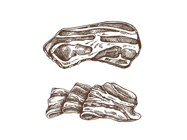 Hand-drawn vector sketch set of bacon, hamon or pork meat, ham slices. Italian prosciutto vintage sketch. Butcher shop. Great for label, restaurant menu. Engraved image.	