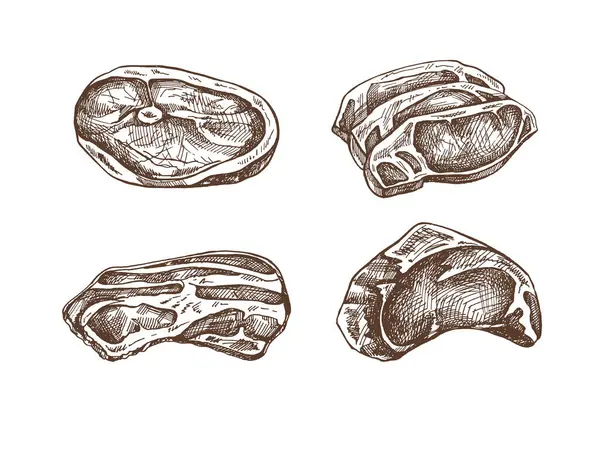 Et, domuz eti ya da biftek, et, pastırma, et parçası, vektör çizimi gibi elle çizilmiş çizimler. Çiğ et. Klasik illüstrasyon. Kafelerin menüsü için dekorasyonlar. Kabartmalı resim.