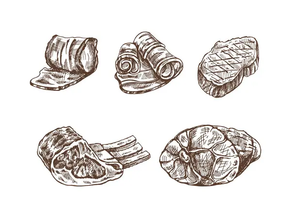A set of hand-drawn sketches of meat pieces, beef steak, ham, pork, bacon, ribs. Fresh meat products. For design of menu for restaurants, butcher shop. Vintage engraved illustration.	