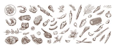 Barbekü, piknik malzemeleri ve etin el yapımı çizimleri. Restoran ve kafe menüsünün tasarımı için ızgara yemek. Doodle vintage çizimi. Kabartmalı resim.