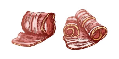 Hand-drawn colored vector sketch set of bacon, hamon or pork meat, ham slices. Italian prosciutto vintage sketch. Butcher shop. Great for label, restaurant menu. Engraved image.	