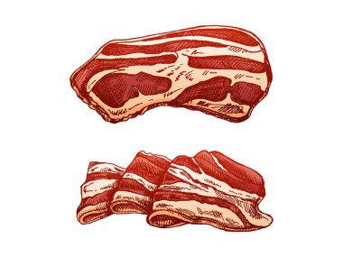 Hand-drawn colored vector sketch set of bacon, hamon or pork meat, ham slices. Italian prosciutto vintage sketch. Butcher shop. Great for label, restaurant menu. Engraved image.	