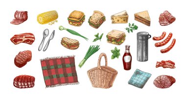 A set of hand-drawn colored sketches of barbecue and picnic elements. For the design of the menu of restaurants and cafes, grilled food, meat. Doodle vintage illustration. Engraved image.	