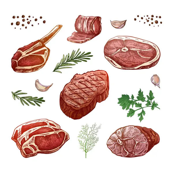 Elle çizilmiş et parçaları, otlar ve baharatlarla birlikte. Restoran ve kafe menüsünün tasarımı için, biftekler. Klasik karalama çizimi. Oymalı resim..