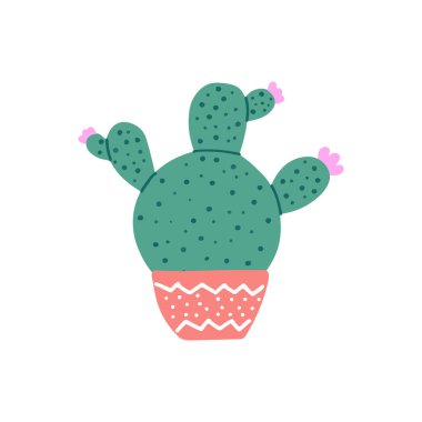Beyaz arka planda el yapımı vektör kaktüsü izole edilmiş. Dikenli bitkinin düz çizimi, çiçek açan kaktüs renkli seramik kapta sulu bitki. Ev bitkisi, Meksika kaktüsü çiçeği..