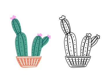 Beyaz arka planda izole edilmiş bir dizi el çizimi ve renkli vektör kaktüsü. Dikenli bitkilerin karalama ve düz çizimleri, çiçek açan kaktüsler, seramik kaplarda sulu bitkiler. Ev bitkileri
