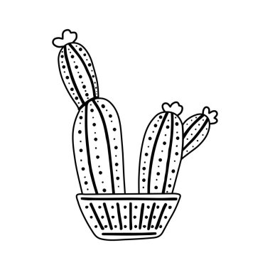 Beyaz arka planda elle çizilmiş vektör kaktüsü izole edilmiş. Dikenli bitkinin Doodle stili çizimi, çiçek açan kaktüs, seramik kapta sulu bitki. Ev bitkisi, Meksika kaktüsü çiçeği..