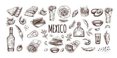 El yapımı gerçekçi Meksika yemekleri ve ürünleri seti. Latin Amerika mutfağının klasik çizimleri. Vektör mürekkep çizimi. Meksika kültürü. Latin Amerika.