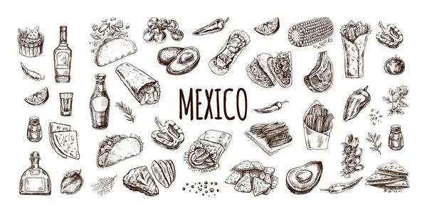 El yapımı gerçekçi Meksika yemekleri ve ürünleri seti. Latin Amerika mutfağının klasik çizimleri. Vektör mürekkep çizimi. Meksika kültürü. Latin Amerika.