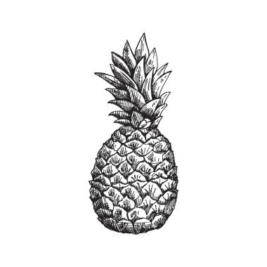 El yapımı ananas çizimi. İzole edilmiş ananas çizimi. Tam tropikal meyve, yemek taslağı..