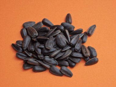 Turuncu arka planda ayçiçeği tohumu. Turuncu arka planda, lezzetli ayçiçeği siyah tohumlarının yakın çekimi