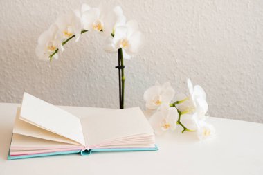 Beyaz masanın üzerinde manolya çiçekleri olan kağıt not defteri. Tatil, fotoğraf konsepti. Beyaz masadaki açık defterli çiçek.