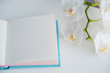 Beyaz masanın üzerinde manolya çiçekleri olan kağıt not defteri. Tatil, fotoğraf konsepti. Beyaz masadaki açık defterli çiçek.