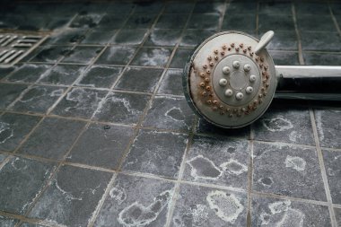Silver shower head with limescales that should be cleaned and mold on tiles. Calcified shower due to hard water. Calcium mineral buildup.