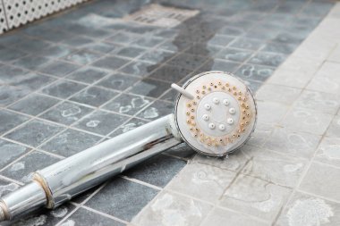 Kireç pullu gümüş duş başlığı. Duş, su ölçeğinde hasar görmüş. Fıskiyelerin her tarafında sert su birikintisi var.