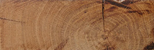 Holzrechteck Fliesentapete Alter Eichenstamm Als Hintergrund Eiche Gespalten Mit Rissen — Stockfoto