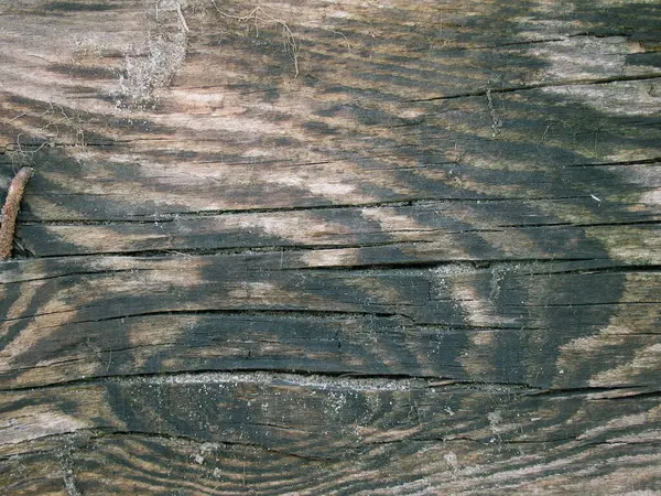 Grunge Szorstka Faktura Tekstura Drewna Naturalnie Postarzała Deska Starzejąca Się — Zdjęcie stockowe