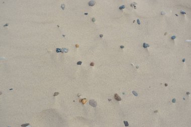 Kum arka planını gizle. Arka plan olarak Kuzey Denizi sahilinde kum. Arkaplan olarak taş olan kum dokusu