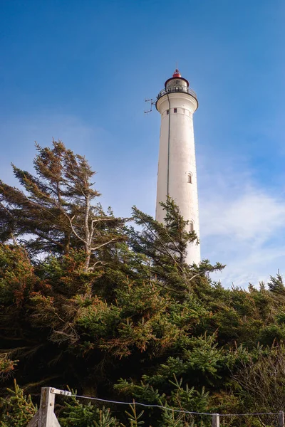 stock image A Lighthouse on the Dunes of Northern Denmark at Lyngvig Fyr. Historic Lyngvig lighthouse in Jutland, North Sea coast in Denmark