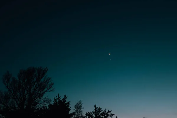 有星星和新月形的真正的天空 有美丽日落背景的新月 森林上空的夜空 树木轮廓景观及新月形月亮 — 图库照片