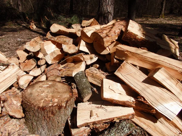 Pile Firewood Loggs Firewood Background Messy Pile Firewood Forest Pile — Stock Photo, Image