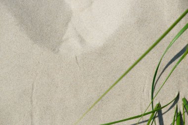 Doğal desen, kum yüzeyi, soyut arkaplan. Arka plan olarak Kuzey Denizi sahilinde beyaz kum.
