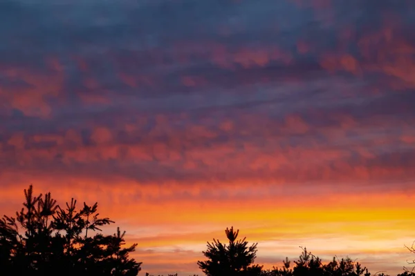 黄昏时分 夕阳西下 天空五彩斑斓 前景一片苍翠 灿烂的史诗般的天空 — 图库照片