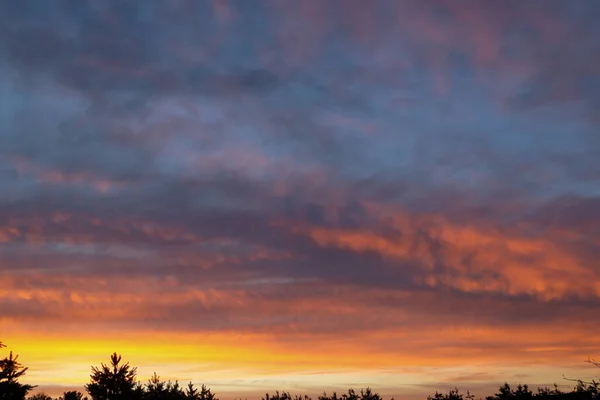 雄伟的真正日落的天空背景与柔和多彩的云彩 色彩艳丽的日落天空 — 图库照片