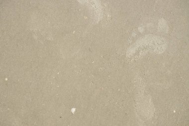 Kumda insan ayak izleri. Sahildeki kumsalda insan ayağının ayak izleri. Sahilde bir yürüyüş