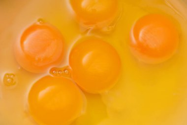 Çiğ yumurta. Yumurta arkaplanı. Yumurta sarısı proteini. Kırık tavuk yumurtası..